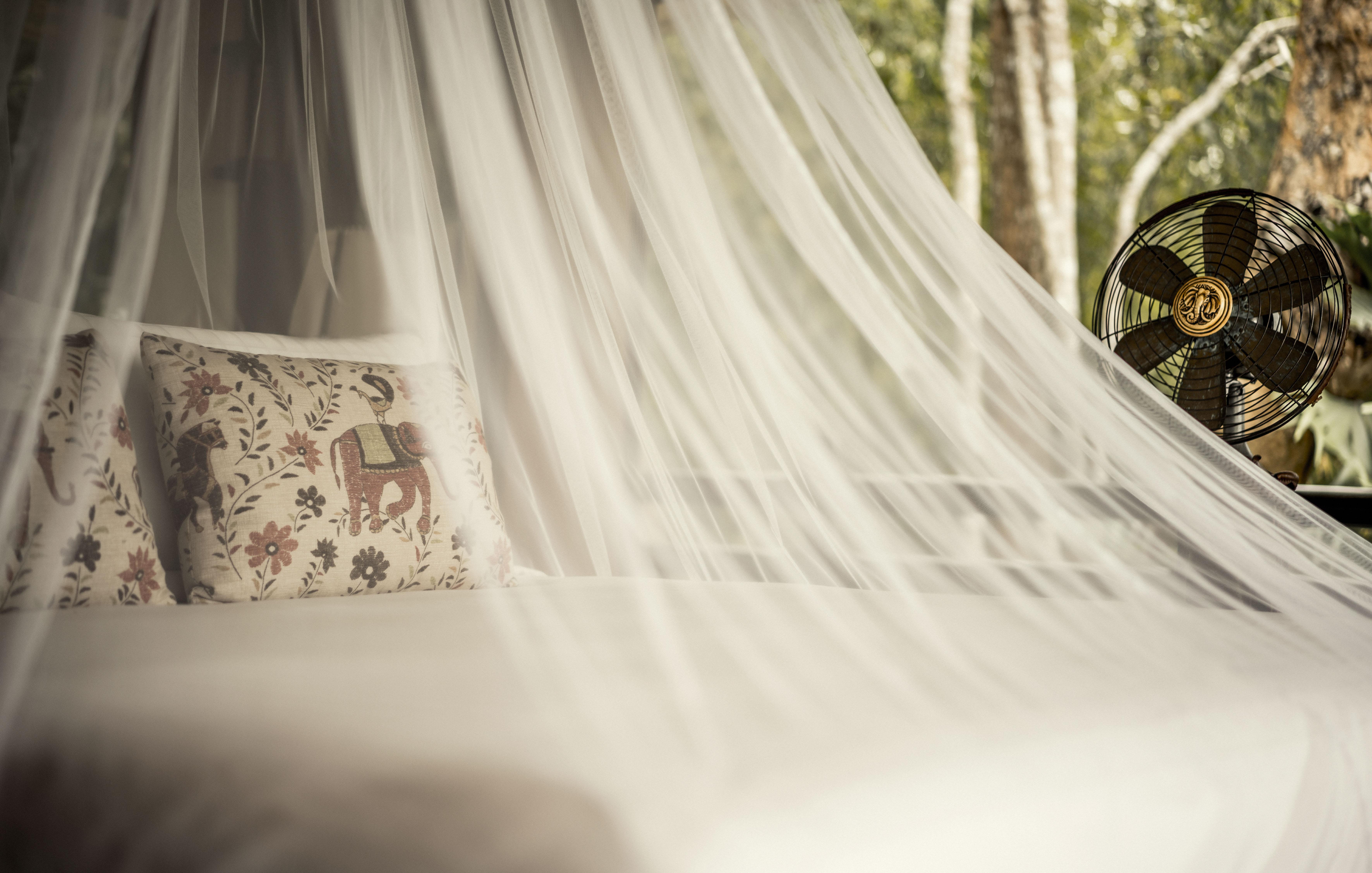 Four Seasons Tented Camp Golden Triangle Dış mekan fotoğraf