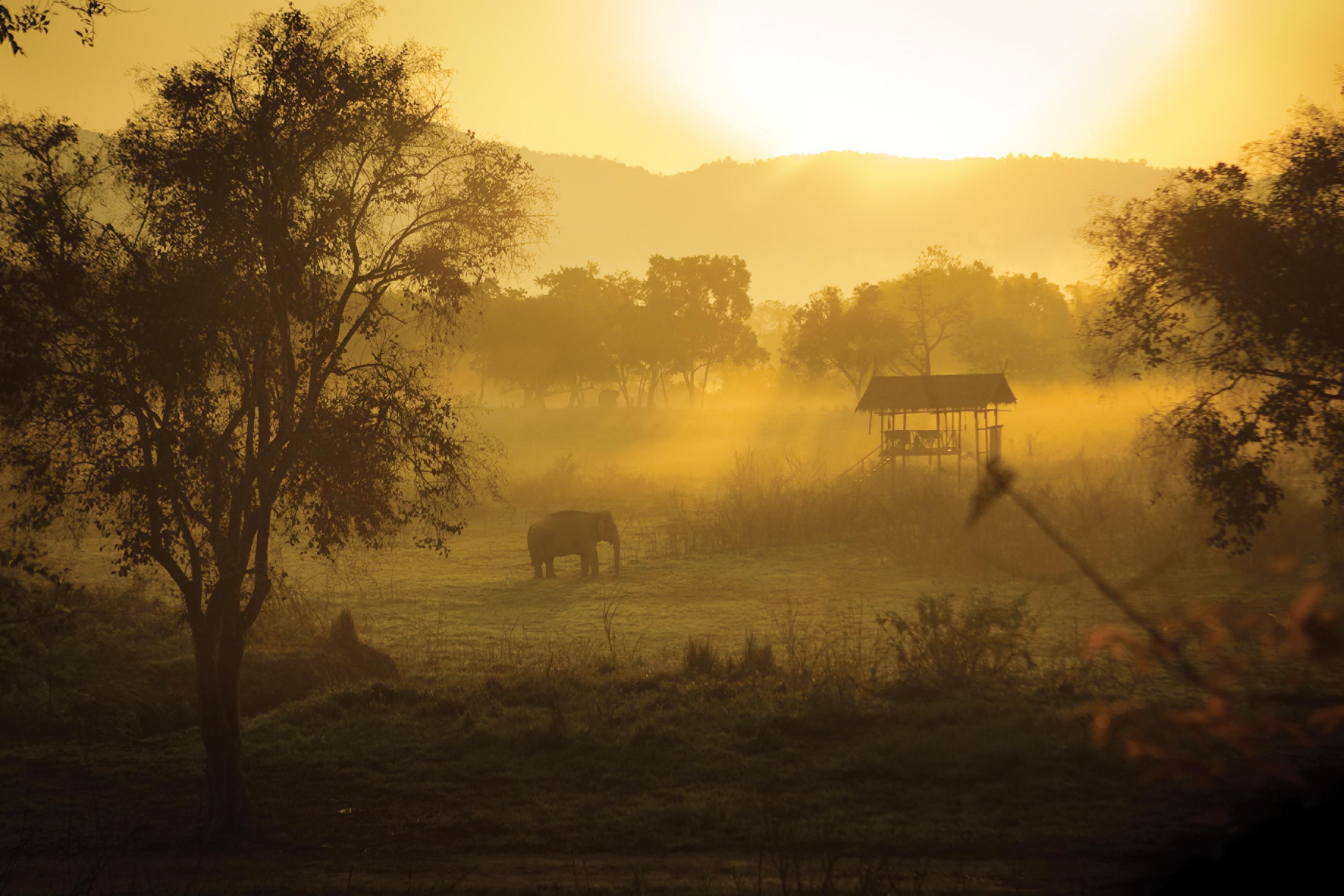 Four Seasons Tented Camp Golden Triangle Dış mekan fotoğraf